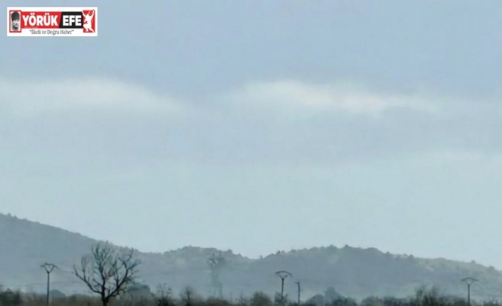 Tarlaları su bastı, flamingolar keyfini sürdü