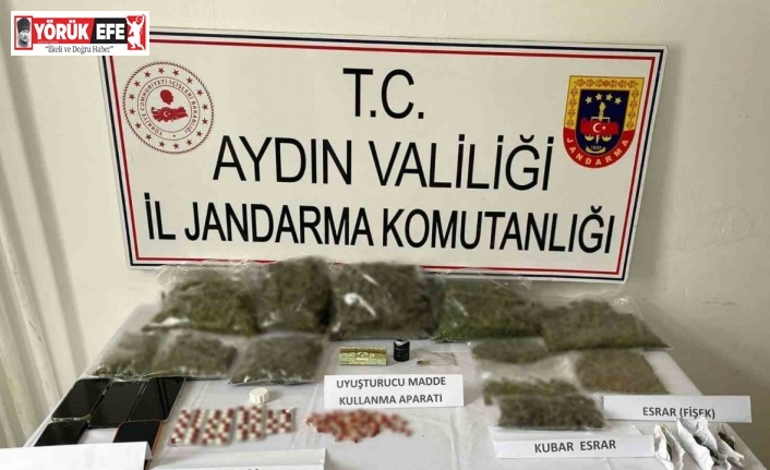 Yenipazar’da uyuşturucu operasyonu