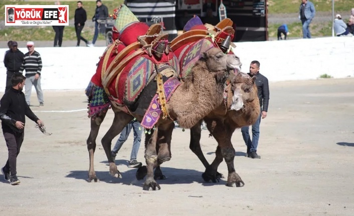 Başkan Kaya: "Bu yıl sezonun ilk güreşlerini yapmak bizlere nasip oldu"