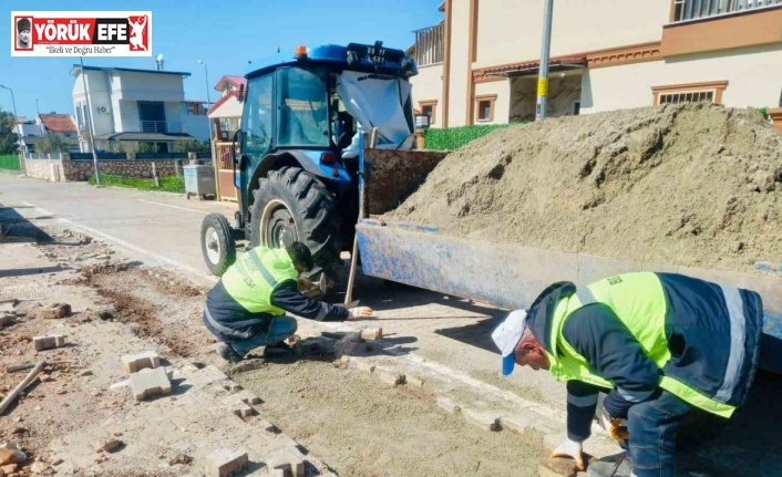 Didim Belediyesi Akbük’te saha çalışmalarını sürdürüyor