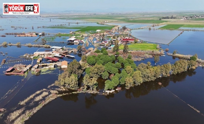 Kalcık Mahallesi, Venedik’e döndü